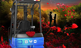 不止七夕，但愿朝夕